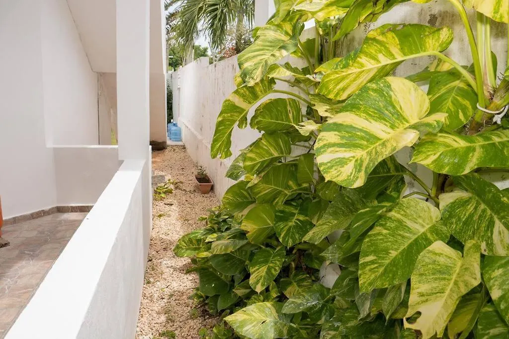 Tatil Evi Villa Caribe Bayahibe Dominik Cumhuriyeti