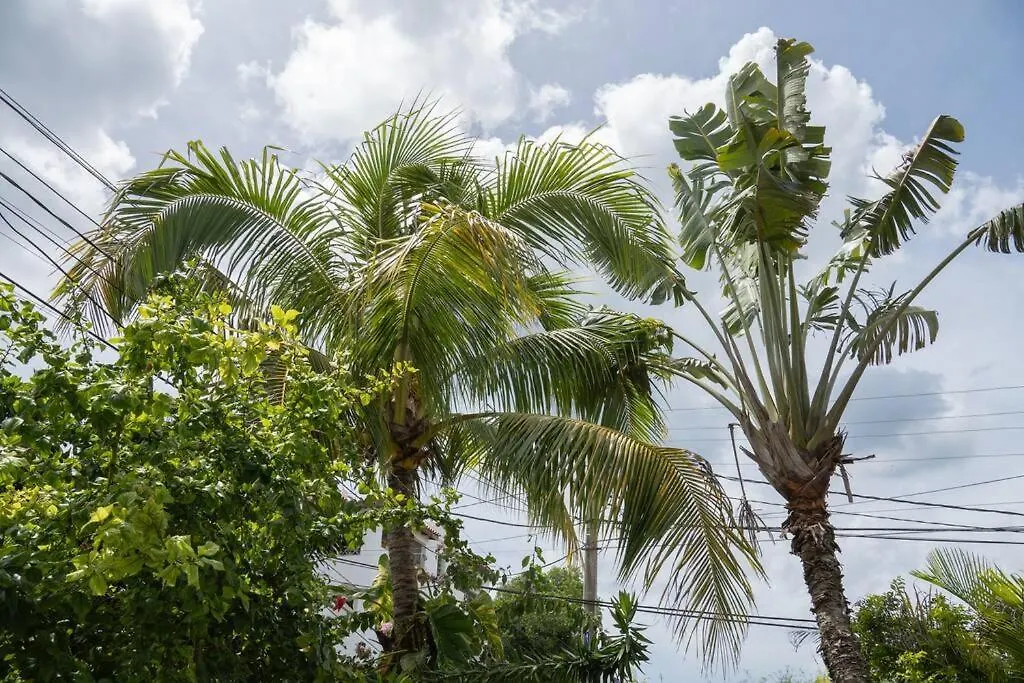Tatil Evi Villa Caribe Bayahibe