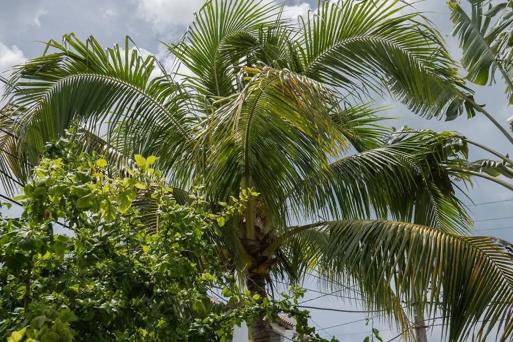 Tatil Evi Villa Caribe Bayahibe Dominik Cumhuriyeti